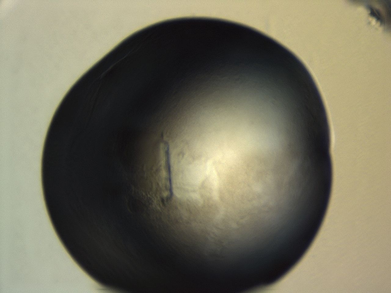 04f0_H7_ImagerDefaults_3.jpg