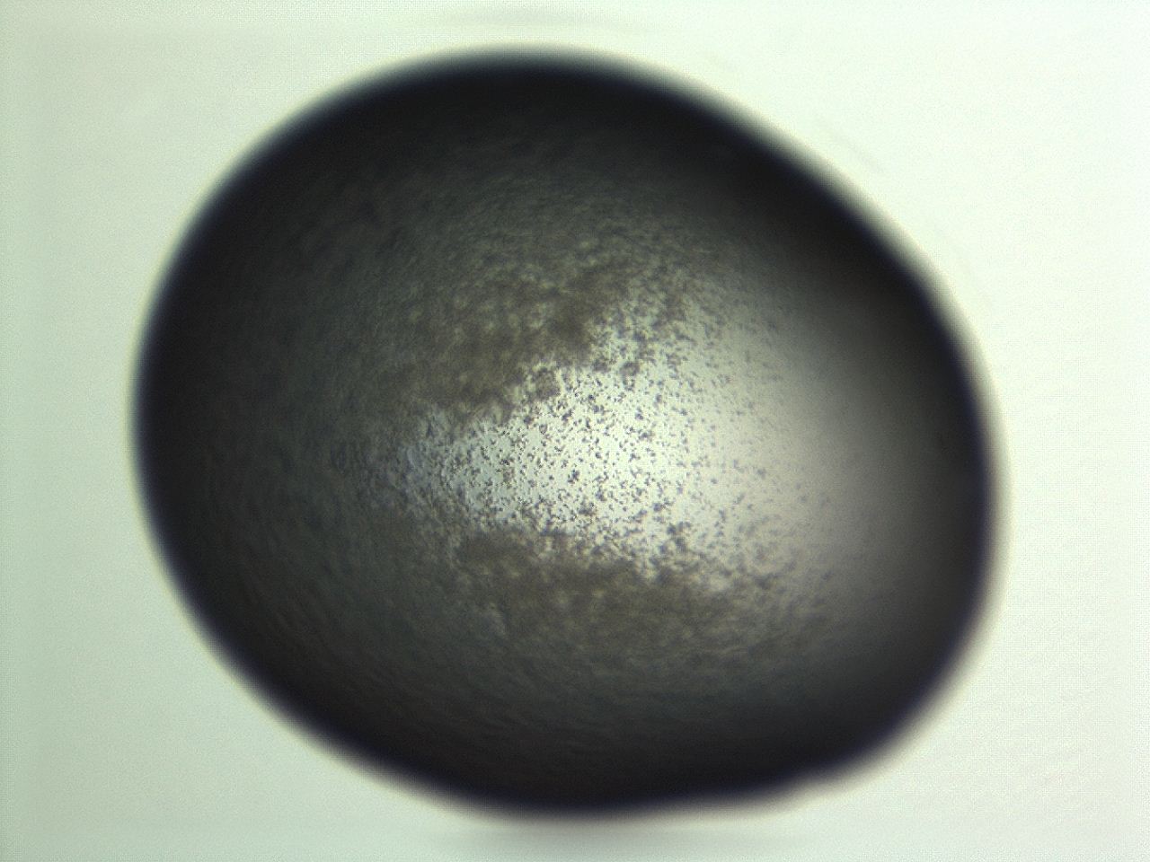 04f0_H11_ImagerDefaults_3.jpg