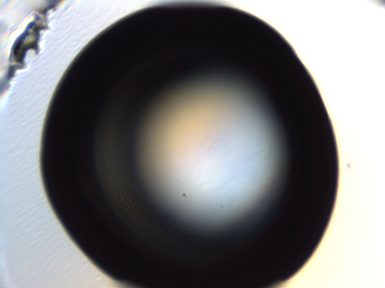 04f0_H12_ImagerDefaults_0.jpg