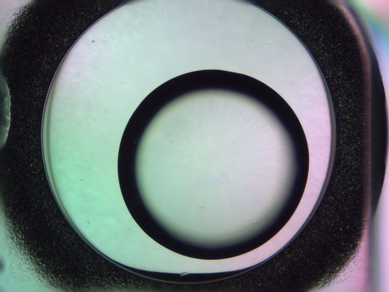 0174_D5_ImagerDefaults_0.jpg