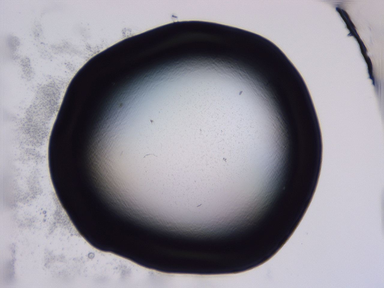 04fi_B6_ImagerDefaults_0.jpg