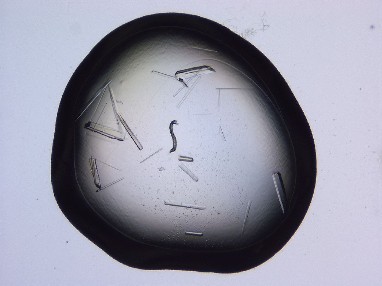 04fi_B12_ImagerDefaults_9.jpg