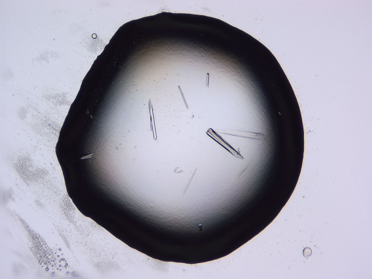 04fi_C11_ImagerDefaults_9.jpg