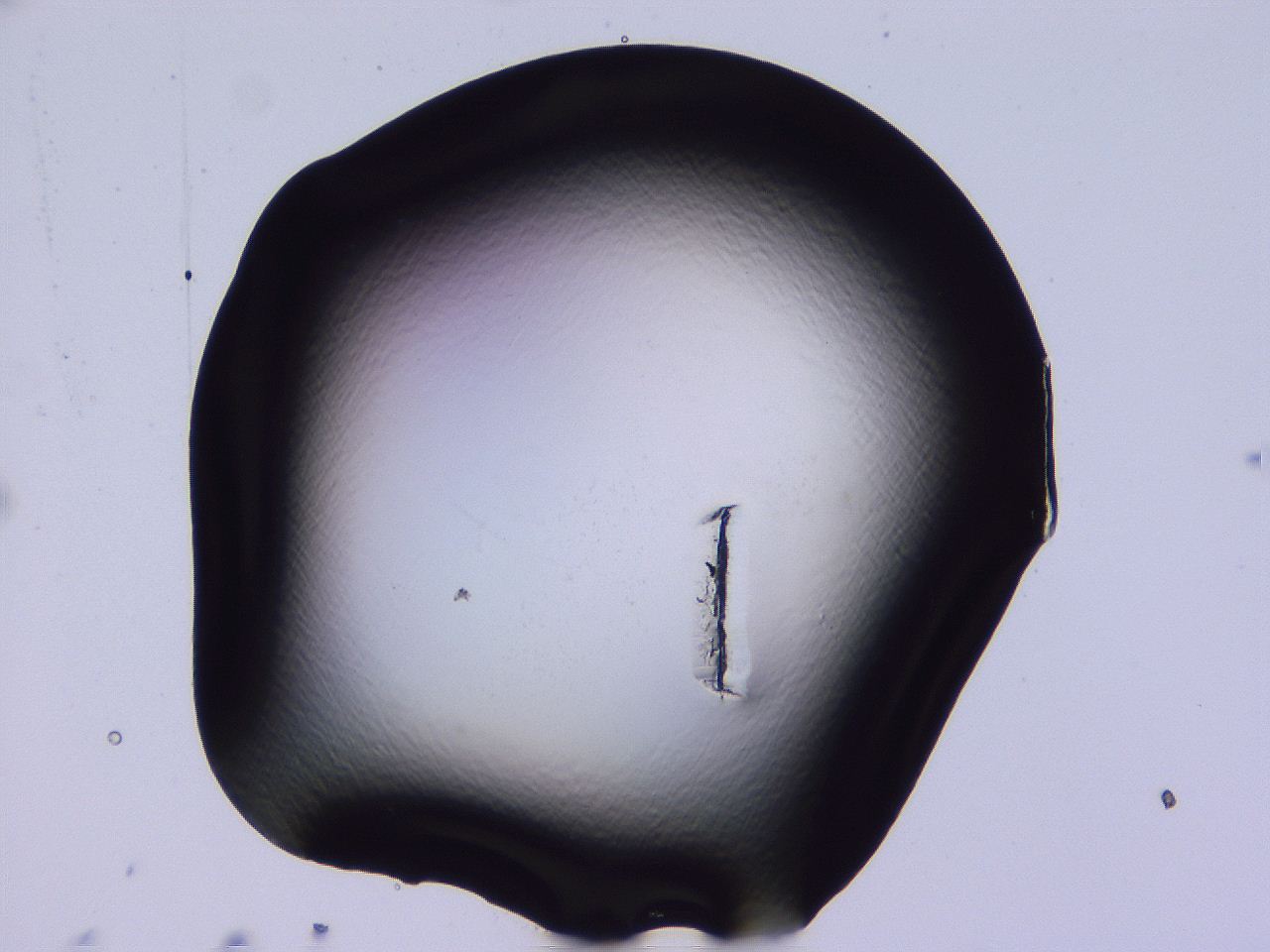 04fi_C1_ImagerDefaults_0.jpg