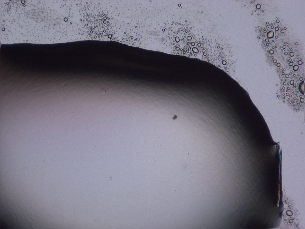 04fi_C5_ImagerDefaults_0.jpg