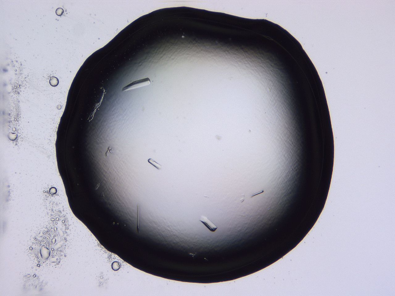 04fi_C10_ImagerDefaults_9.jpg