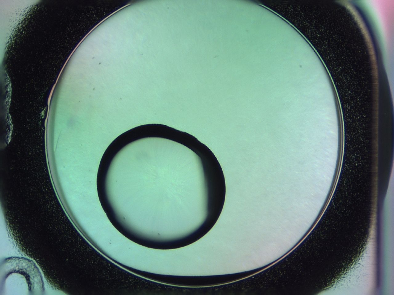 0174_B10_ImagerDefaults_0.jpg