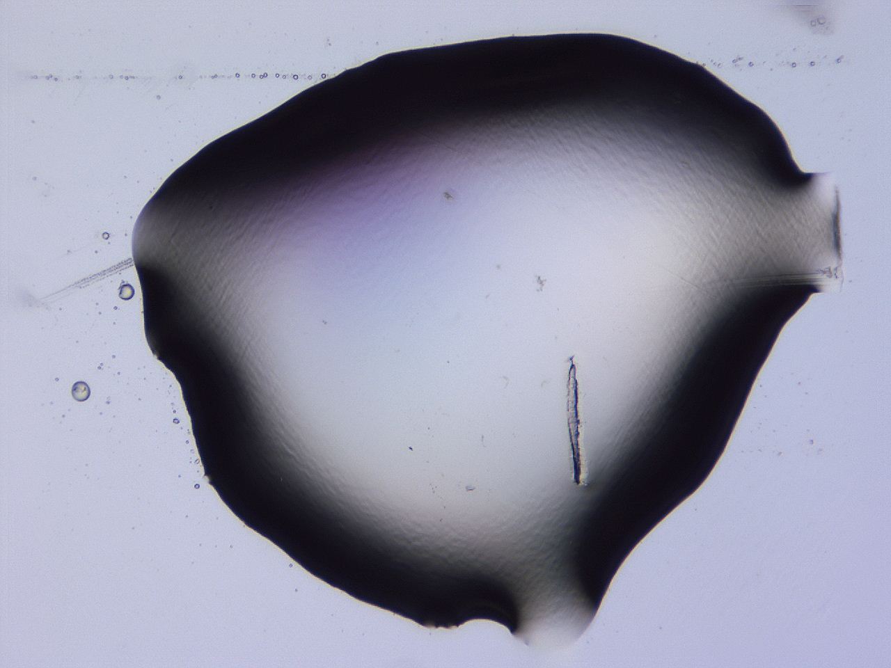 04fi_D5_ImagerDefaults_0.jpg