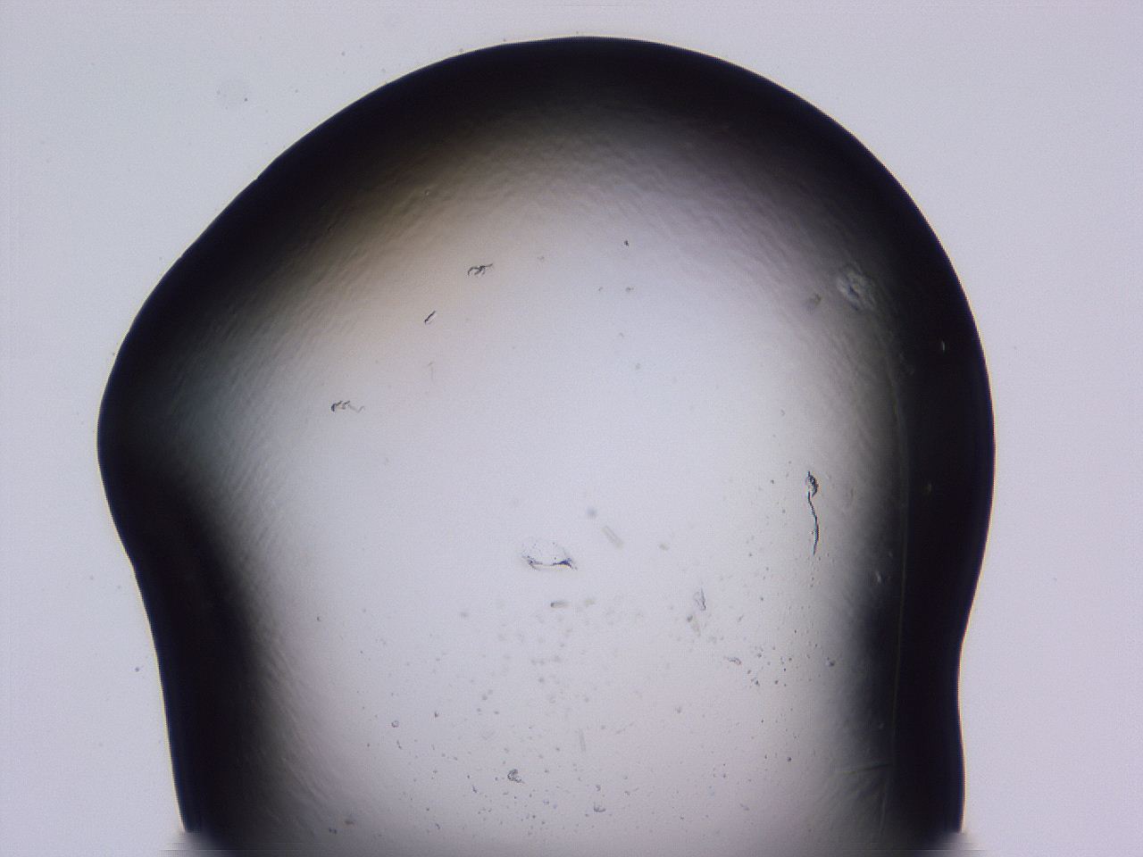 04fi_D7_ImagerDefaults_0.jpg
