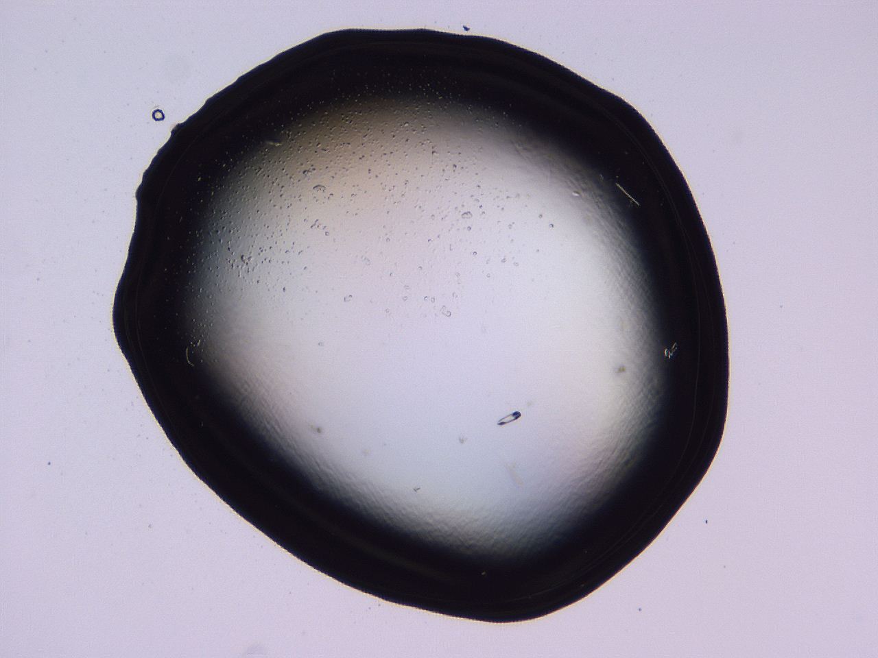 04fi_D10_ImagerDefaults_9.jpg
