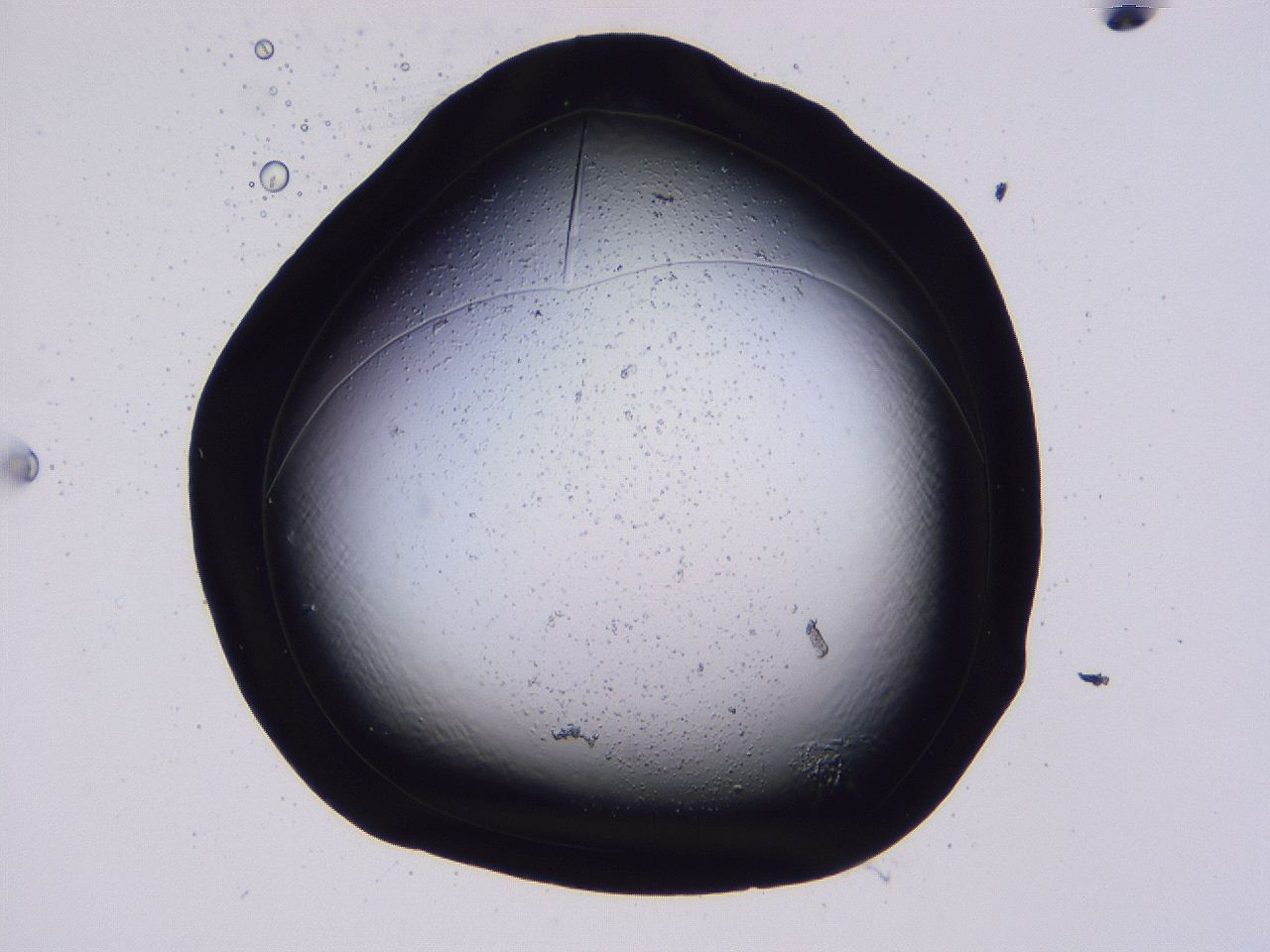 04fi_D12_ImagerDefaults_9.jpg