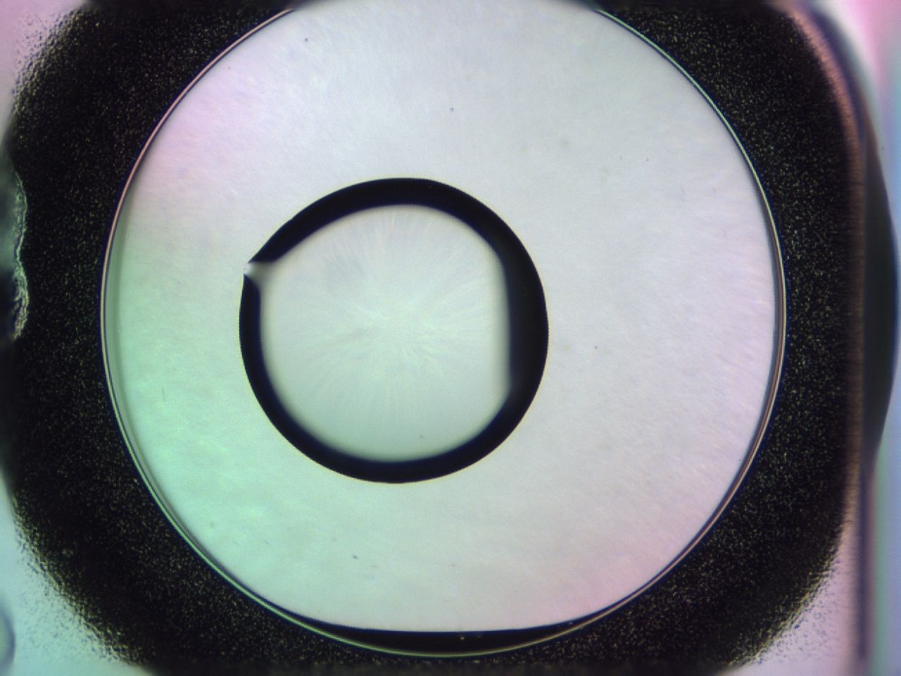 0174_B8_ImagerDefaults_0.jpg