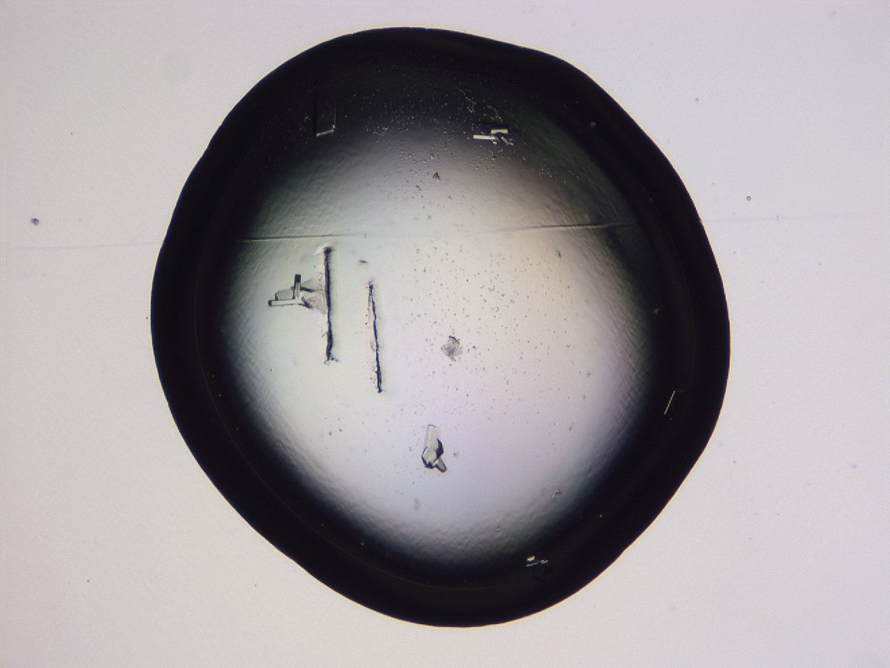 04fi_G1_ImagerDefaults_9.jpg