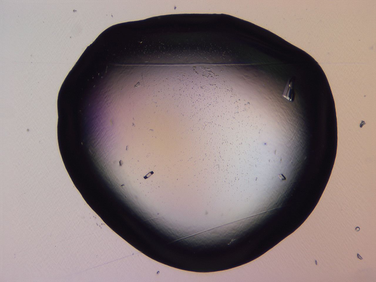 04fi_G2_ImagerDefaults_9.jpg