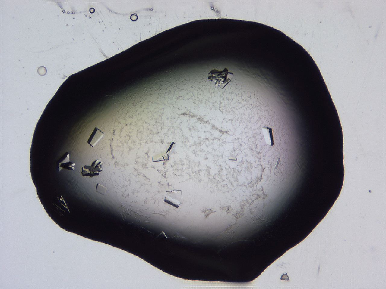 04fi_G10_ImagerDefaults_9.jpg