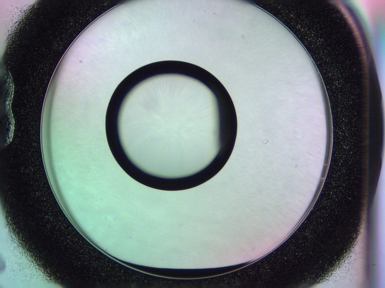0174_B6_ImagerDefaults_0.jpg