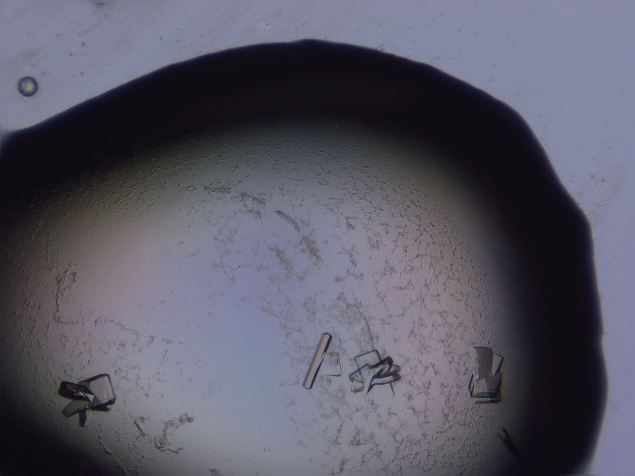 04fi_G11_ImagerDefaults_9.jpg