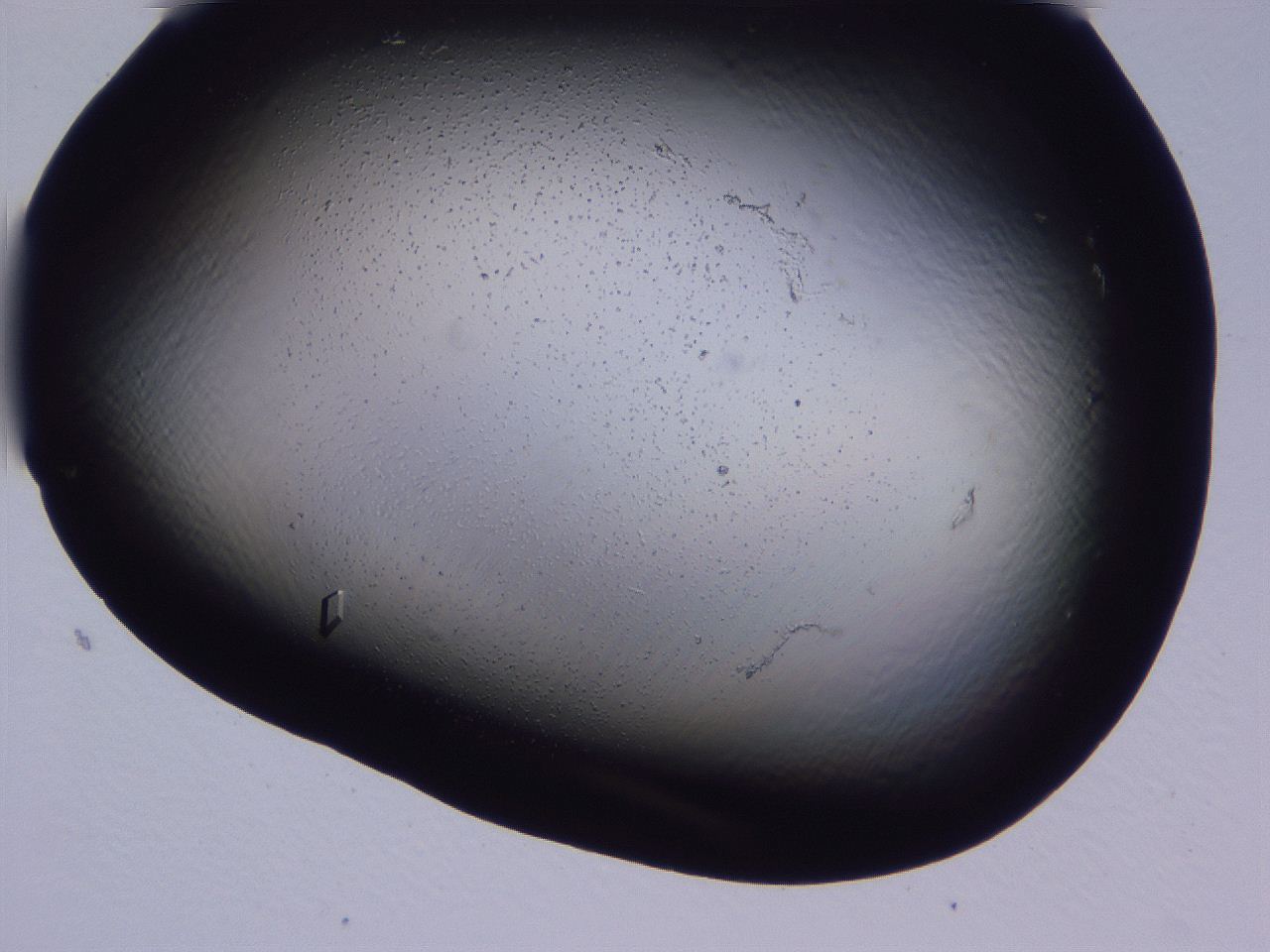 04fi_H4_ImagerDefaults_9.jpg