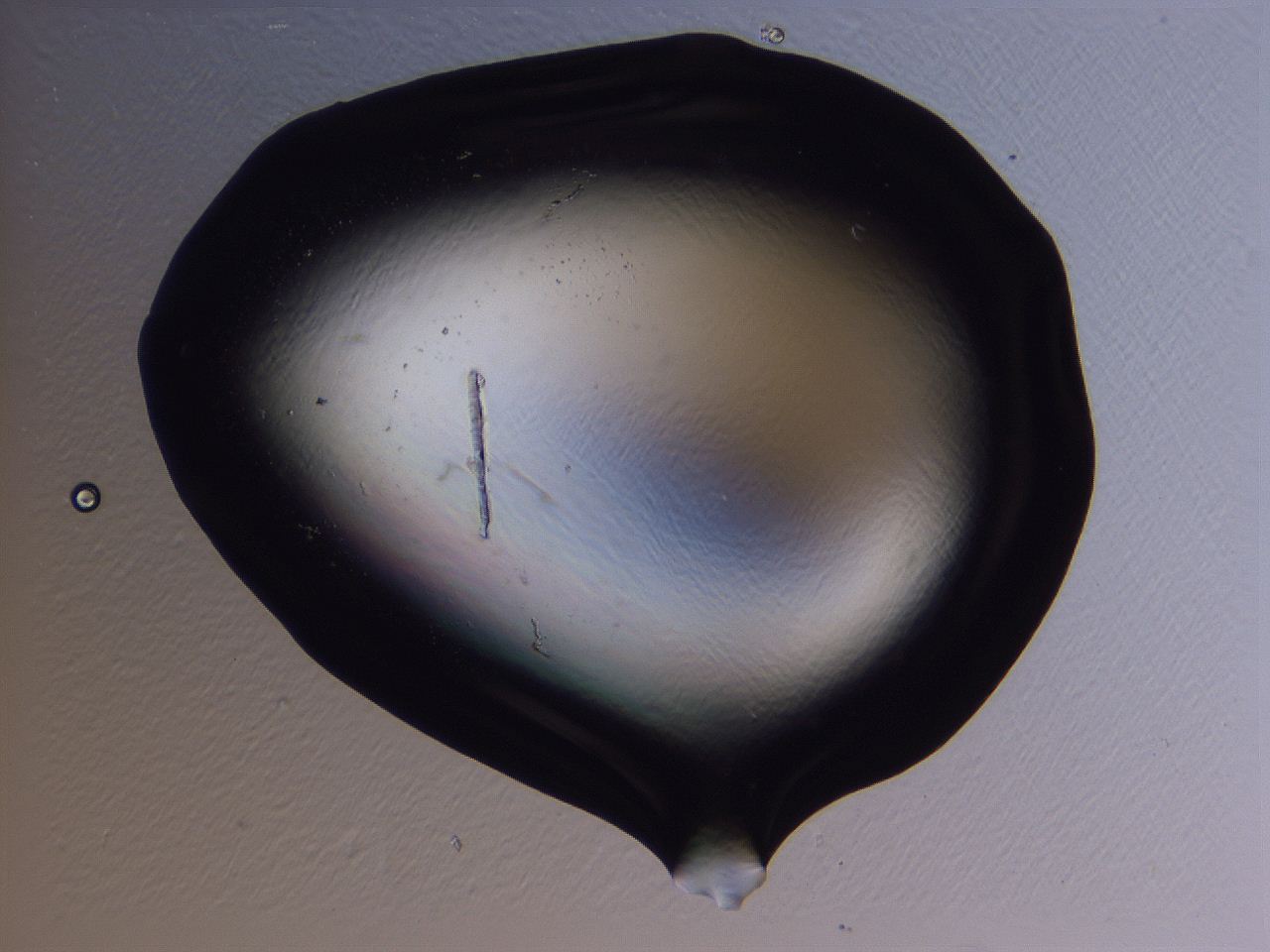 04fi_H5_ImagerDefaults_0.jpg