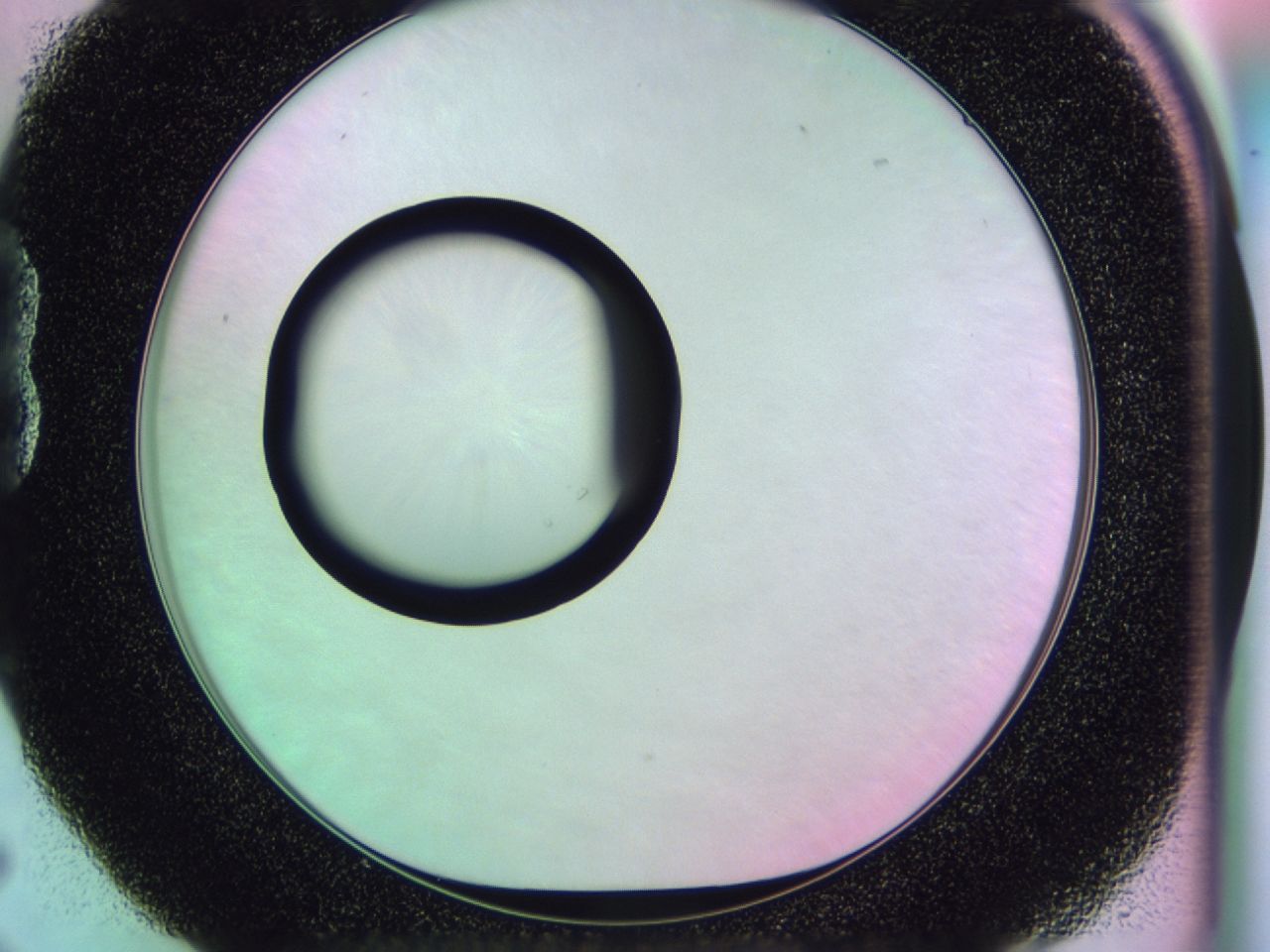 0174_B5_ImagerDefaults_0.jpg