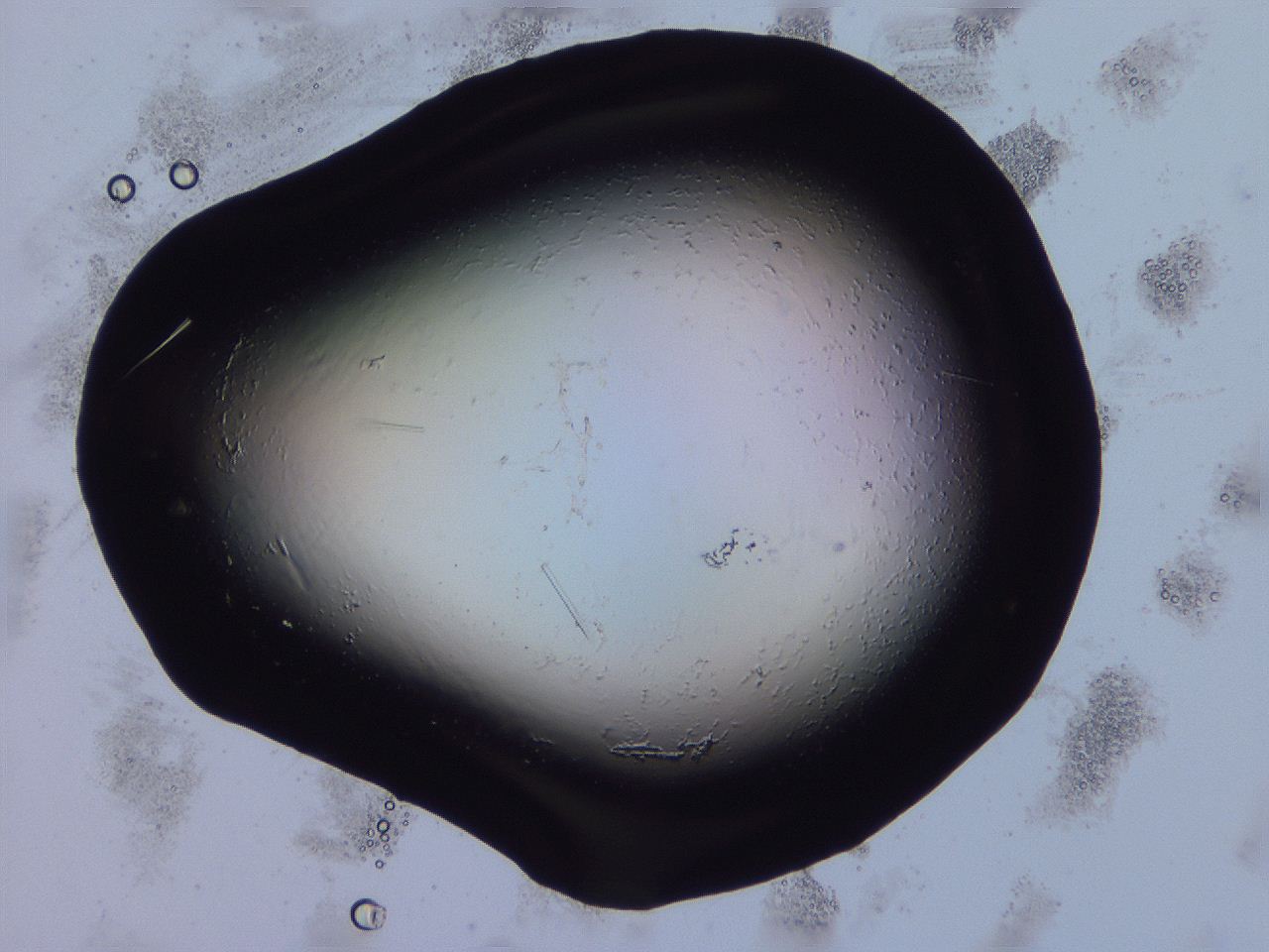 04fi_H11_ImagerDefaults_9.jpg