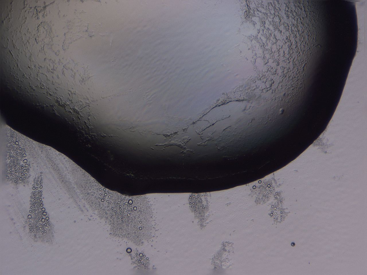 04fi_H12_ImagerDefaults_3.jpg
