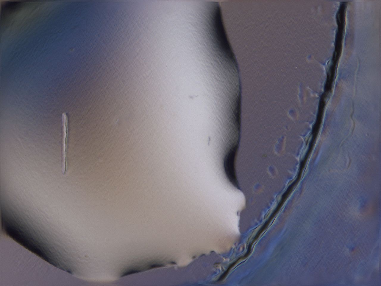 04fj_A1_ImagerDefaults_0.jpg