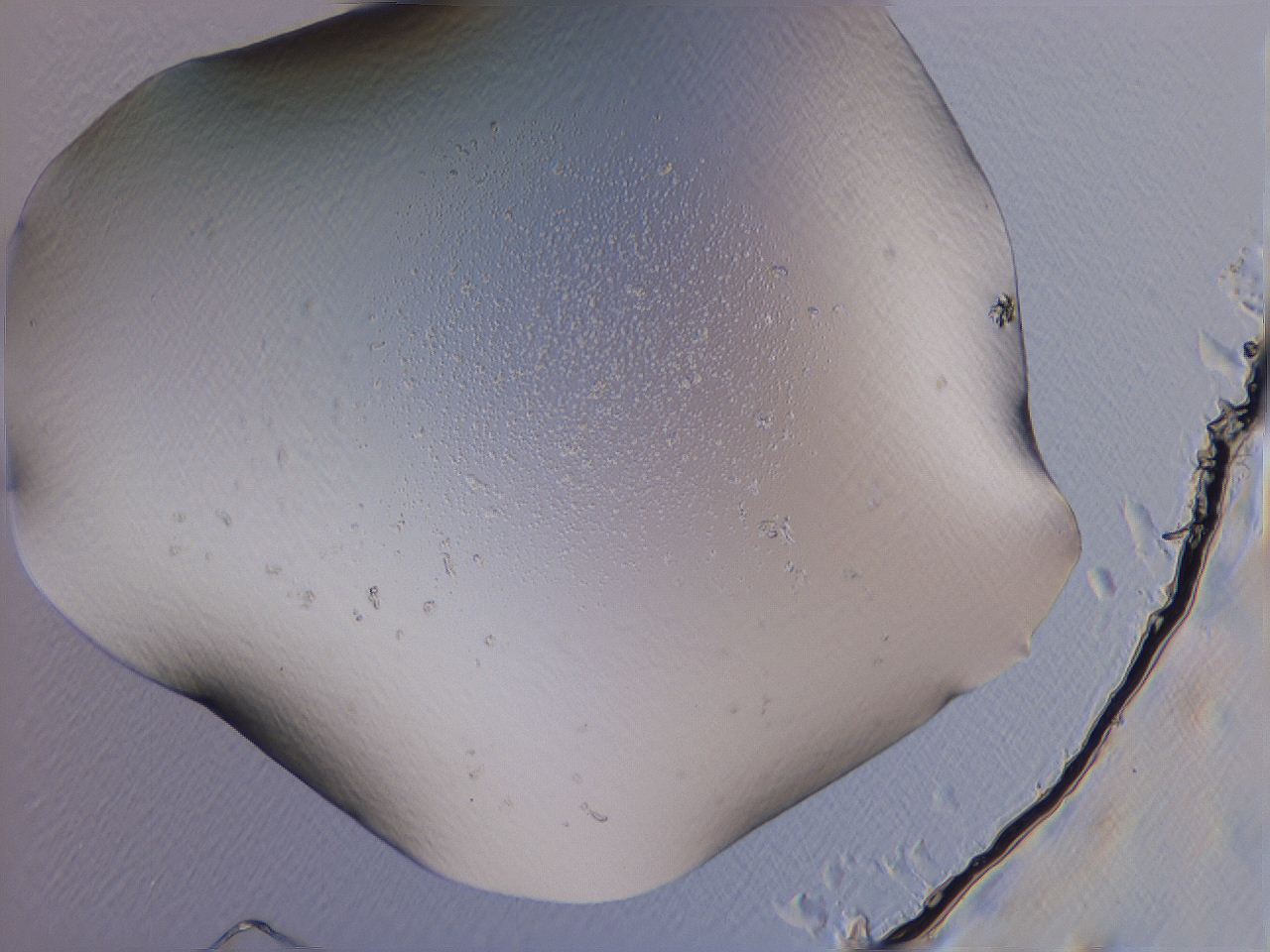 04fj_A2_ImagerDefaults_0.jpg
