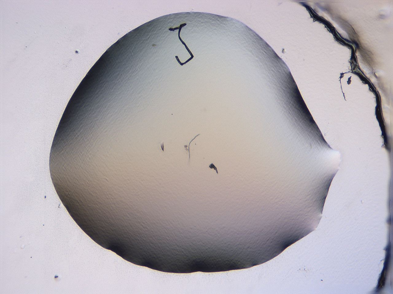 04fj_B10_ImagerDefaults_0.jpg