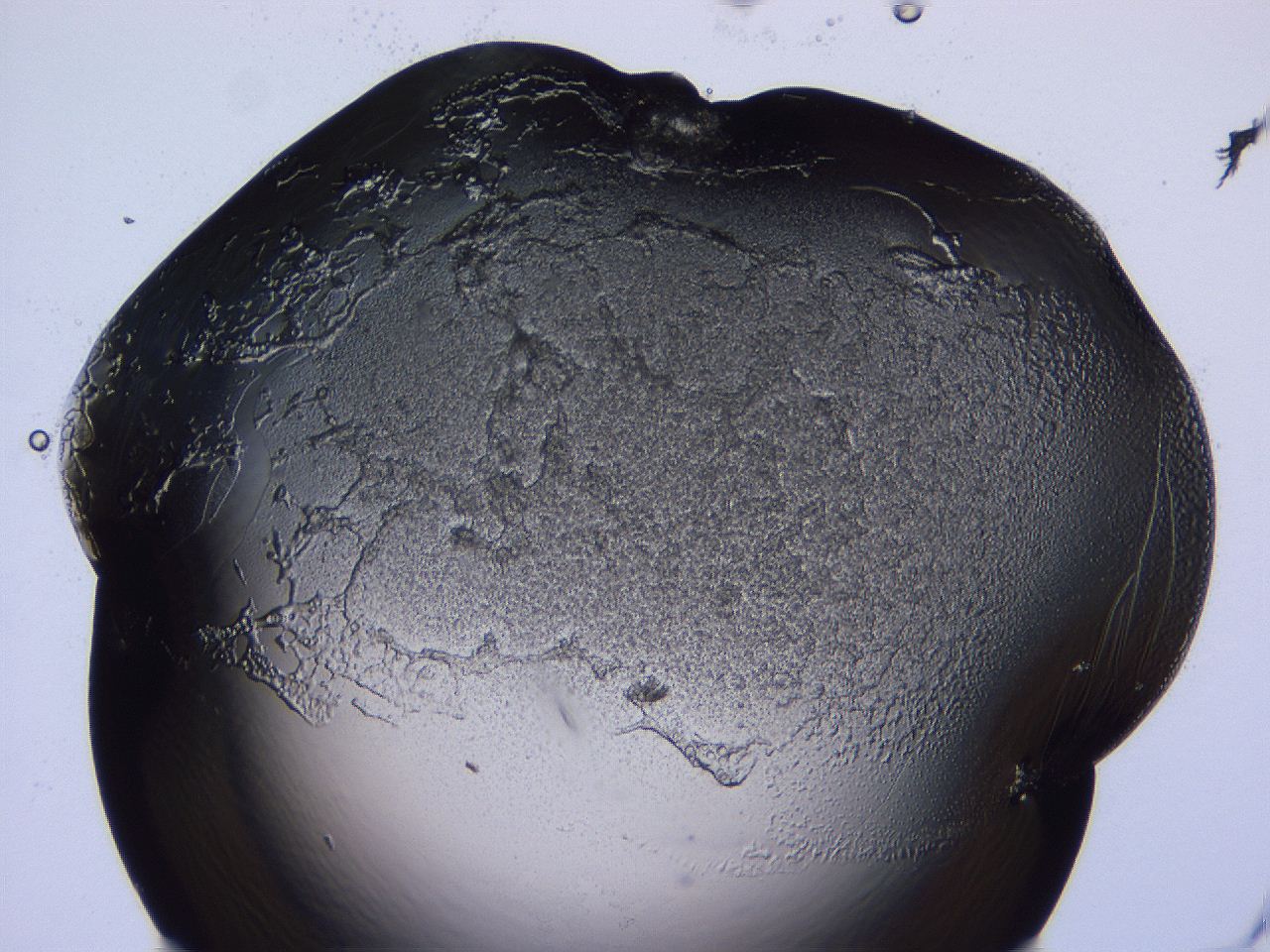04fj_B11_ImagerDefaults_3.jpg