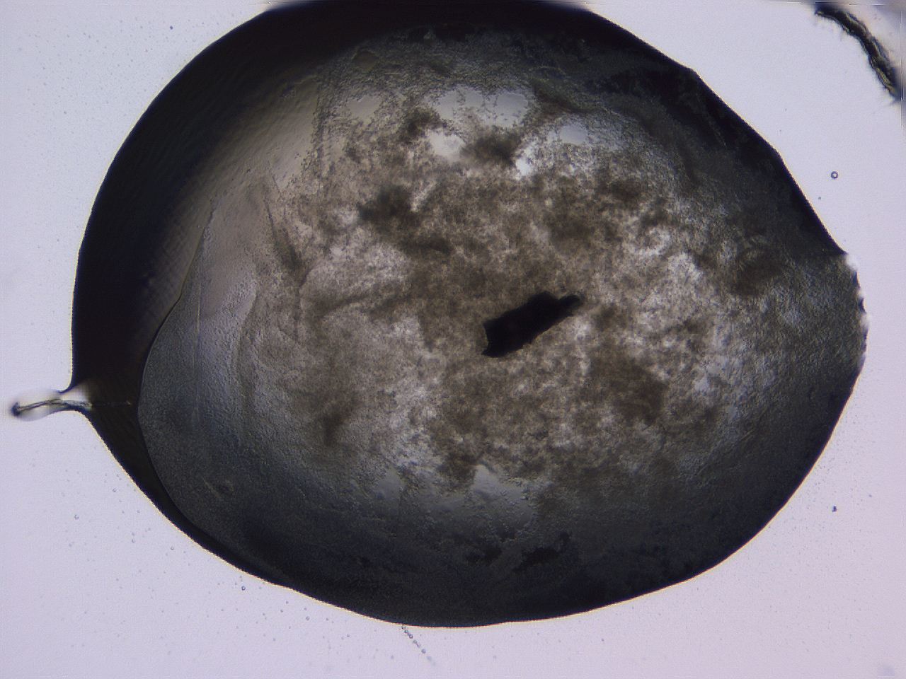 04fj_B12_ImagerDefaults_3.jpg