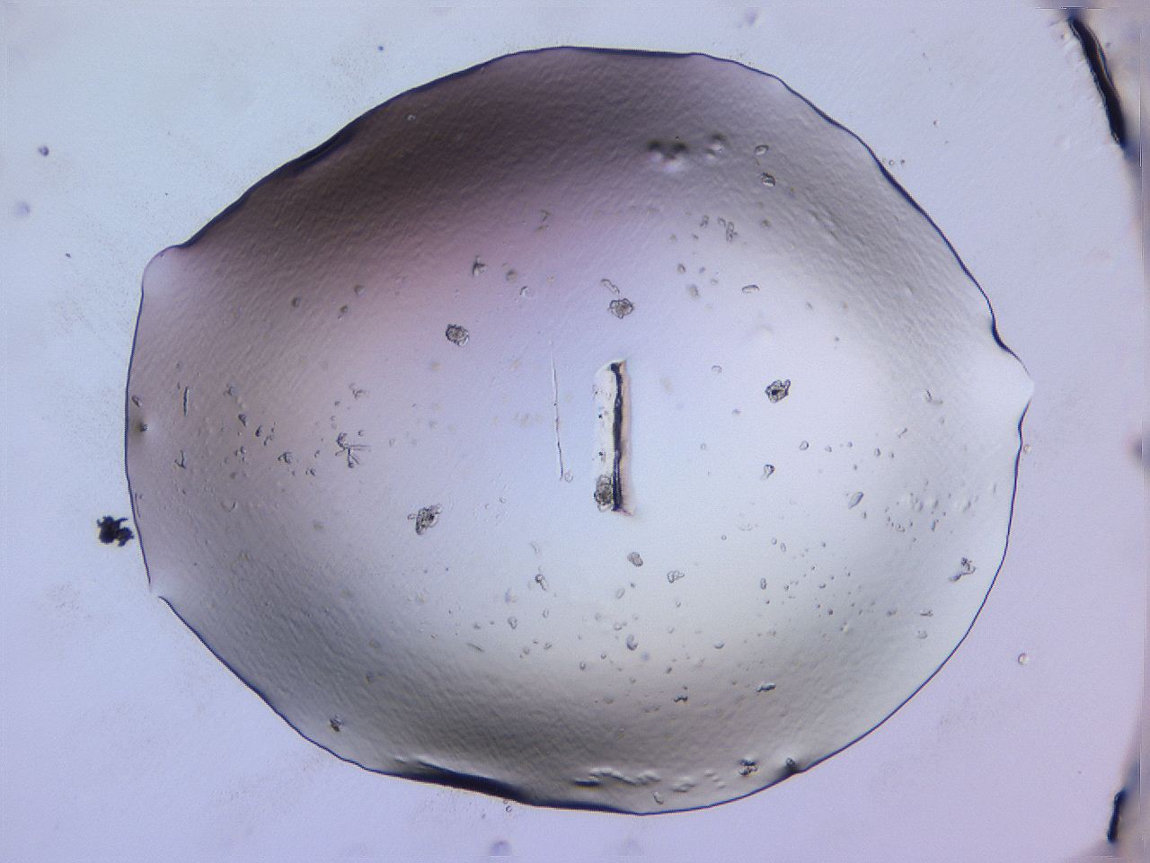 04fj_C1_ImagerDefaults_0.jpg