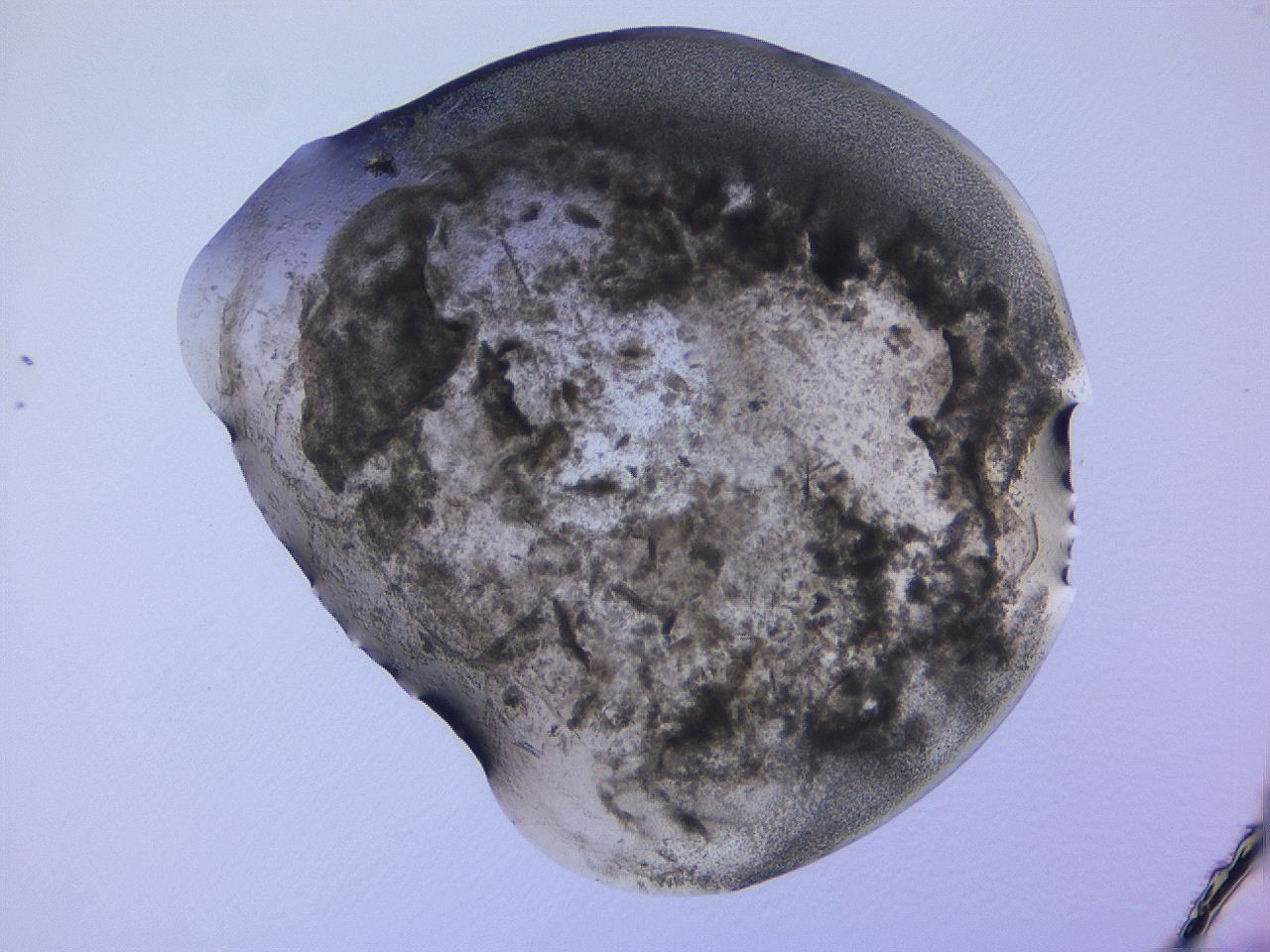 04fj_F6_ImagerDefaults_3.jpg