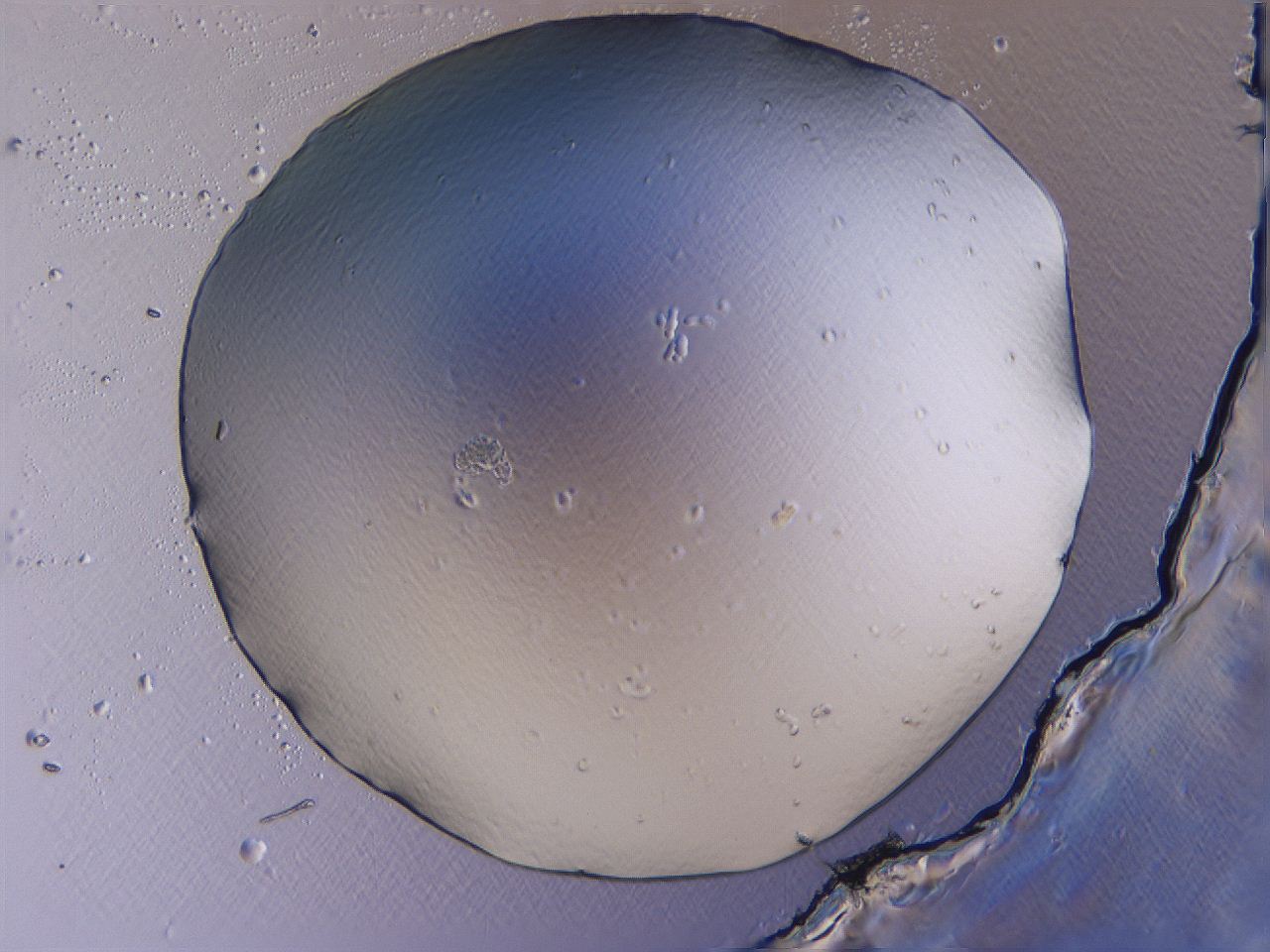 04fj_A9_ImagerDefaults_0.jpg