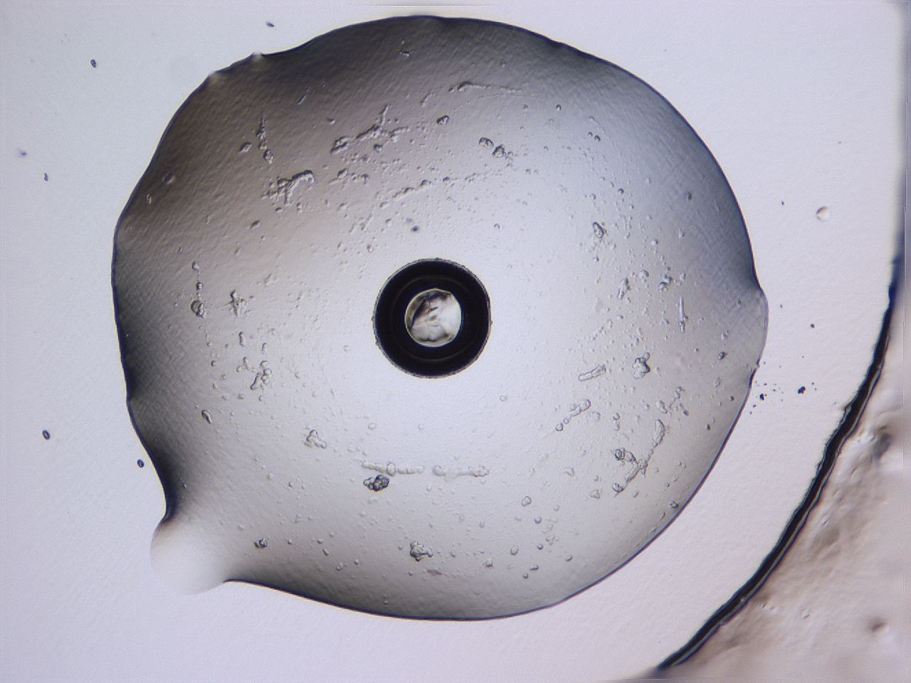 04fj_A11_ImagerDefaults_0.jpg