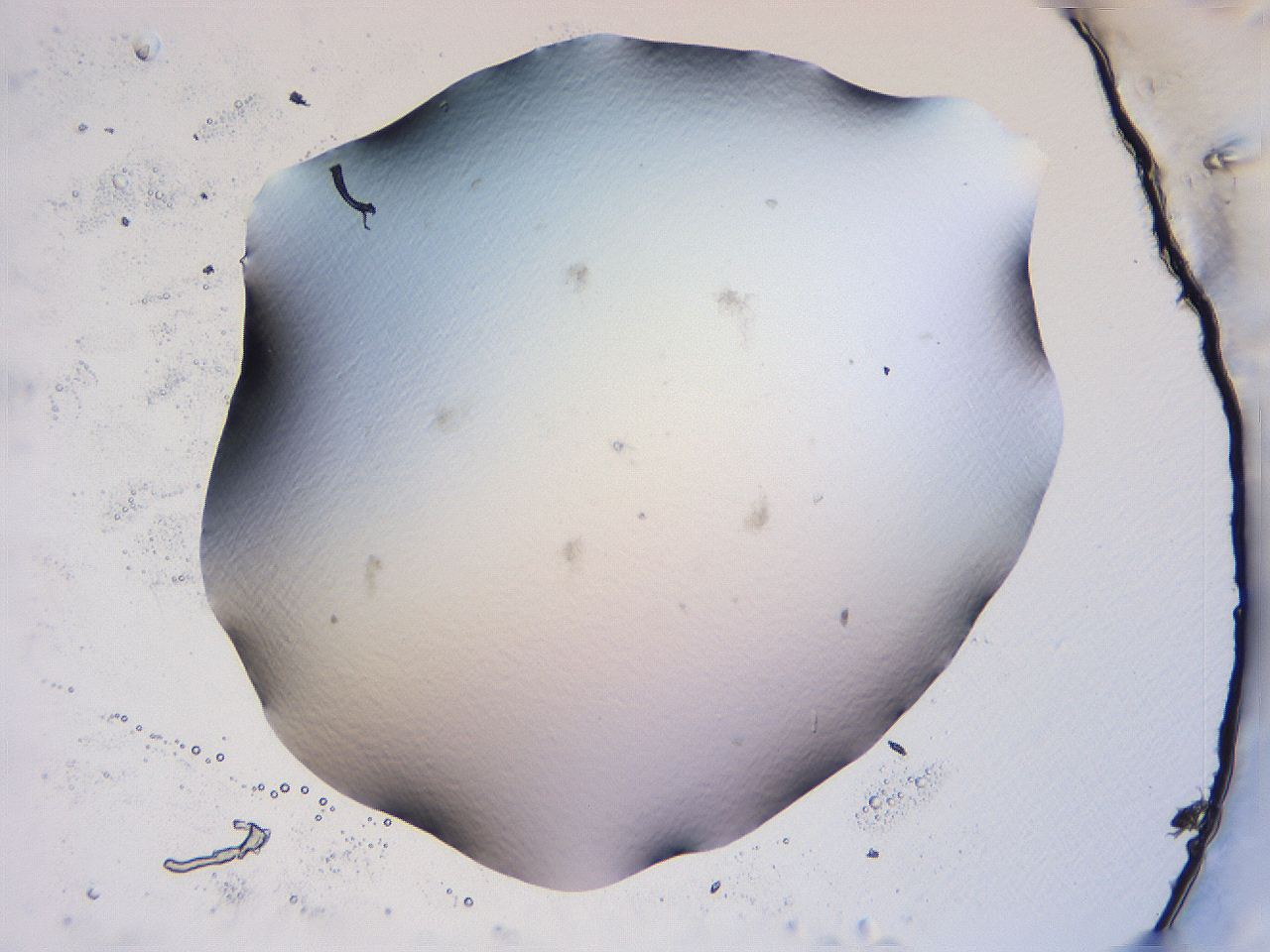 04fj_B6_ImagerDefaults_0.jpg