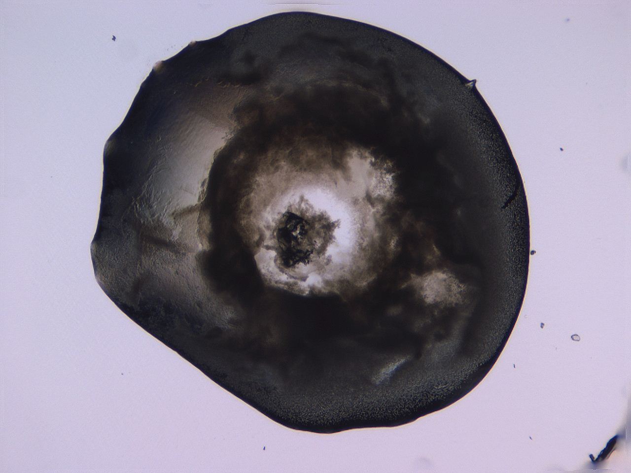 04fj_D10_ImagerDefaults_3.jpg