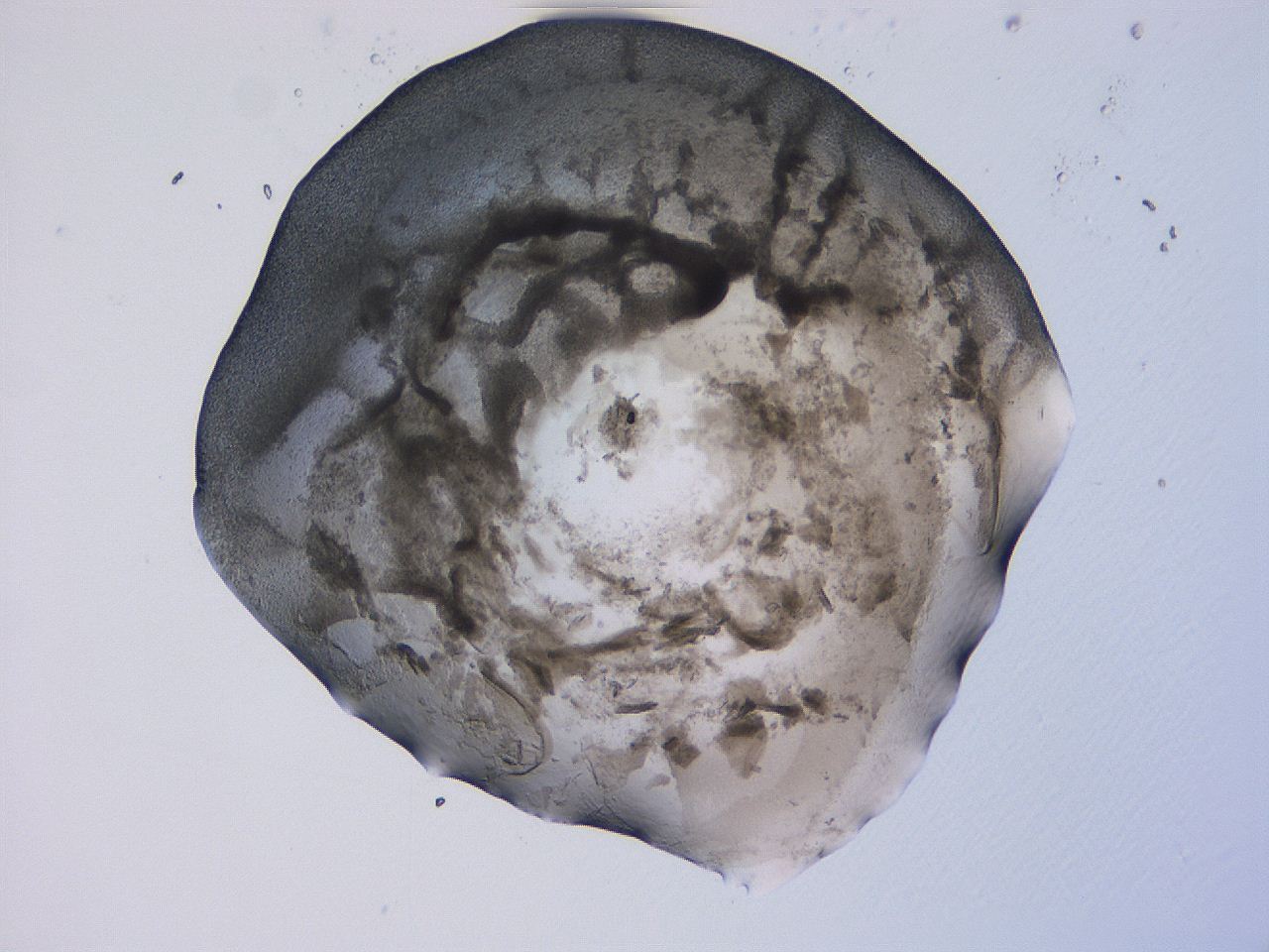 04fj_D12_ImagerDefaults_3.jpg