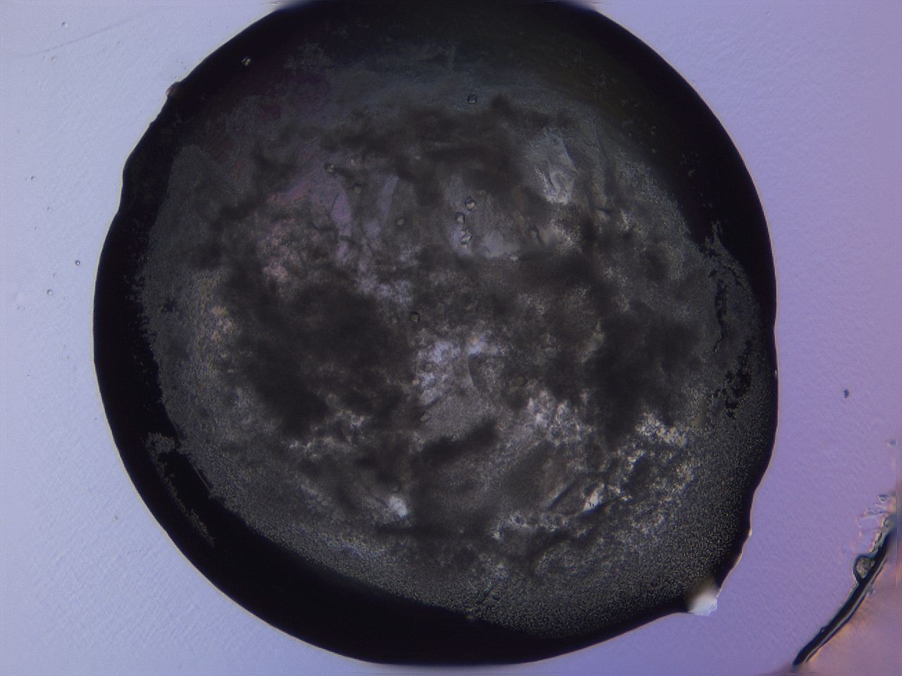 04fj_E2_ImagerDefaults_3.jpg