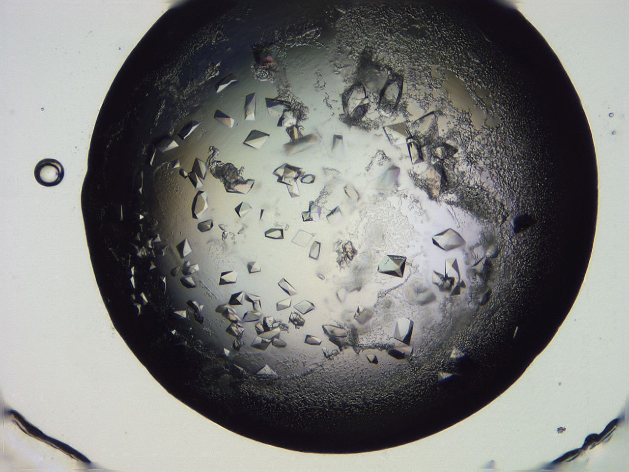 04fj_G10_ImagerDefaults_9.jpg
