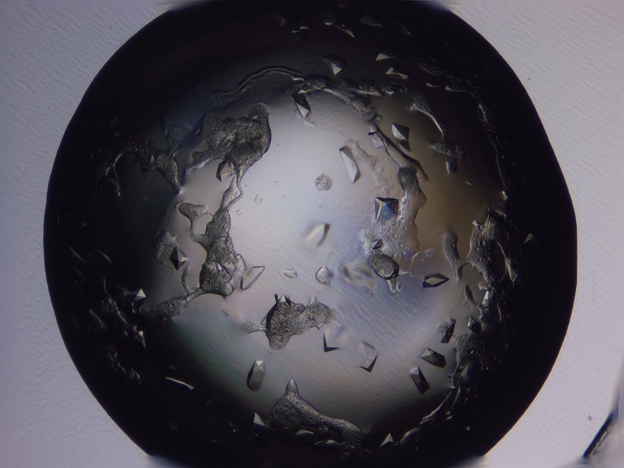 04fj_H9_ImagerDefaults_9.jpg