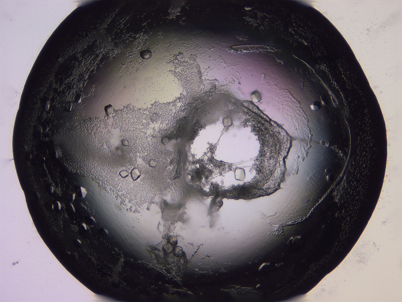 04fj_H10_ImagerDefaults_9.jpg