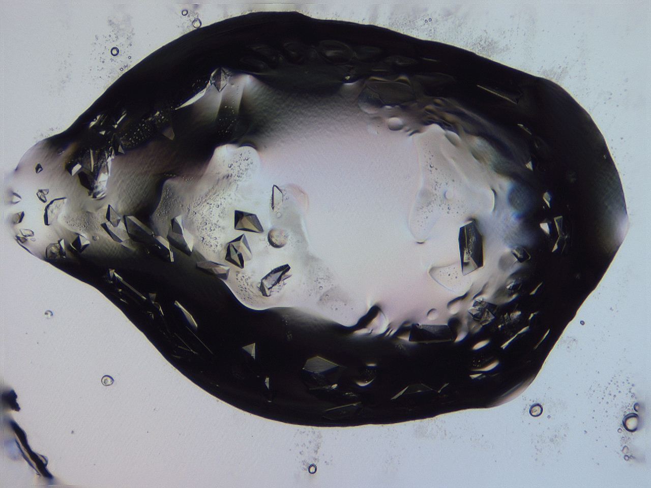 04fj_H11_ImagerDefaults_9.jpg