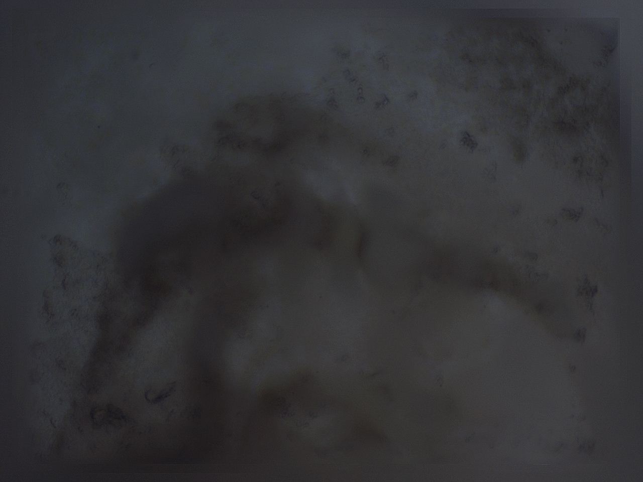 04fz_B11_ImagerDefaults_3.jpg