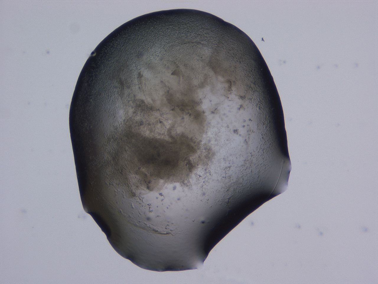 04fz_B12_ImagerDefaults_3.jpg
