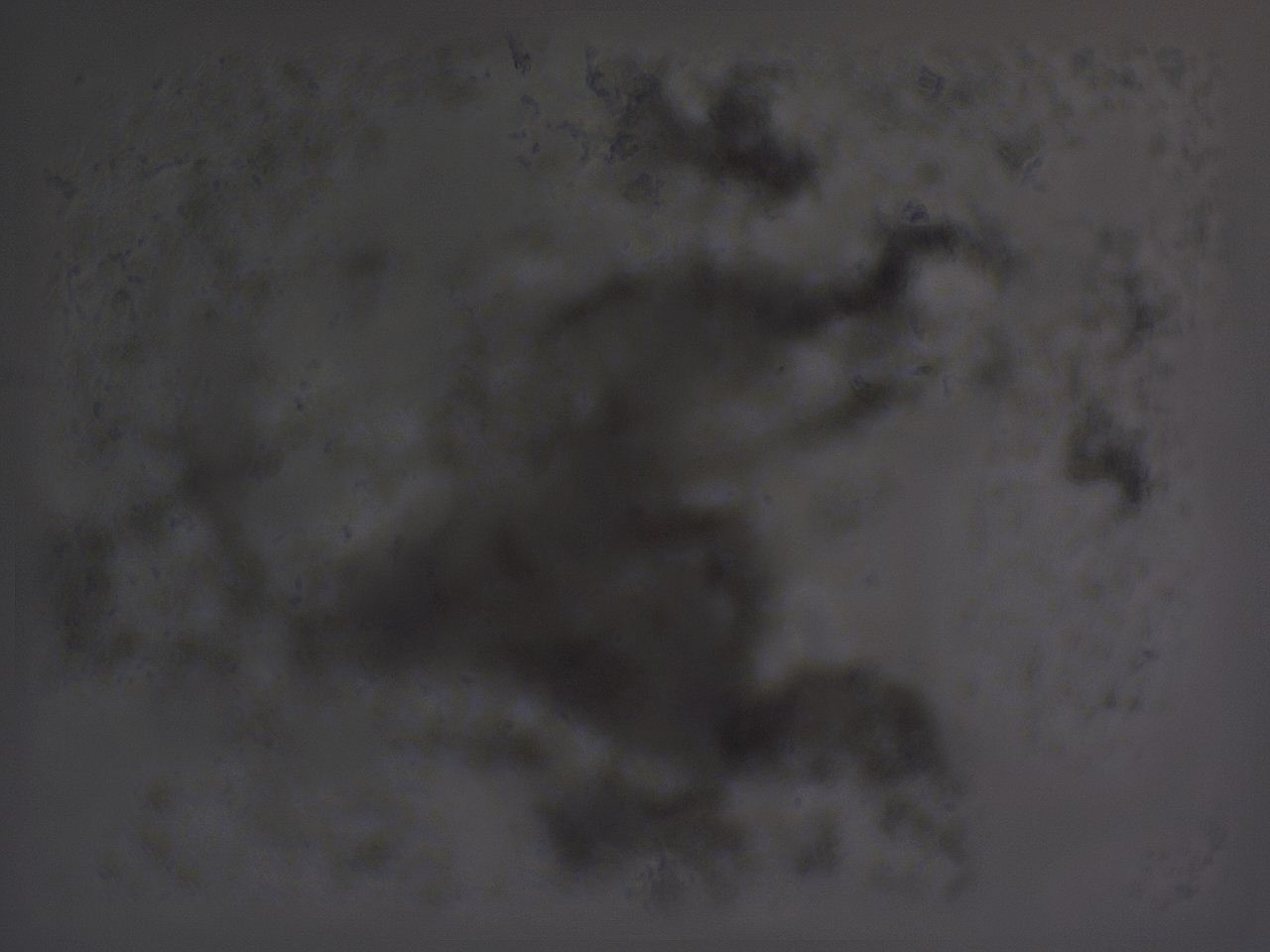 04fz_C2_ImagerDefaults_3.jpg