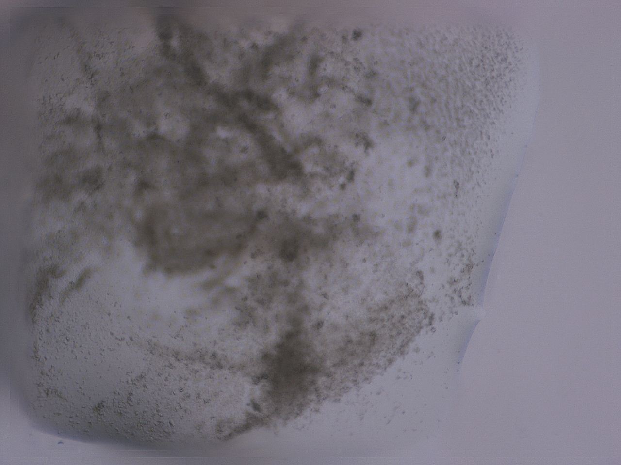 04fz_C5_ImagerDefaults_3.jpg