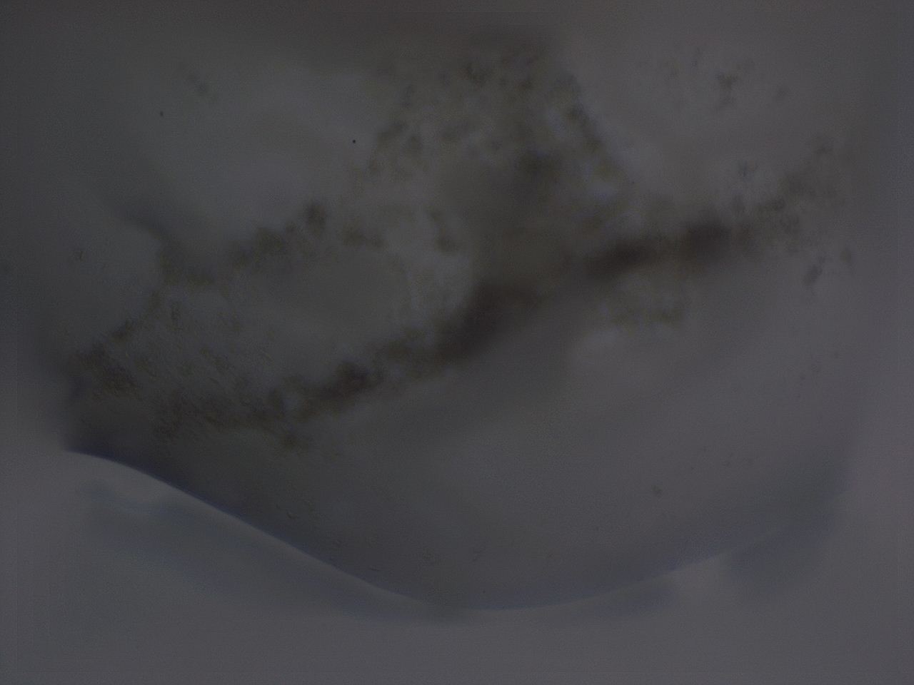 04fz_C6_ImagerDefaults_3.jpg