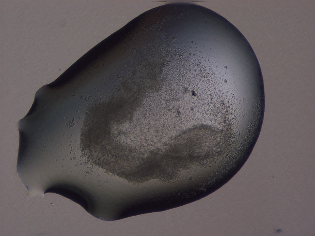 04fz_A1_ImagerDefaults_3.jpg
