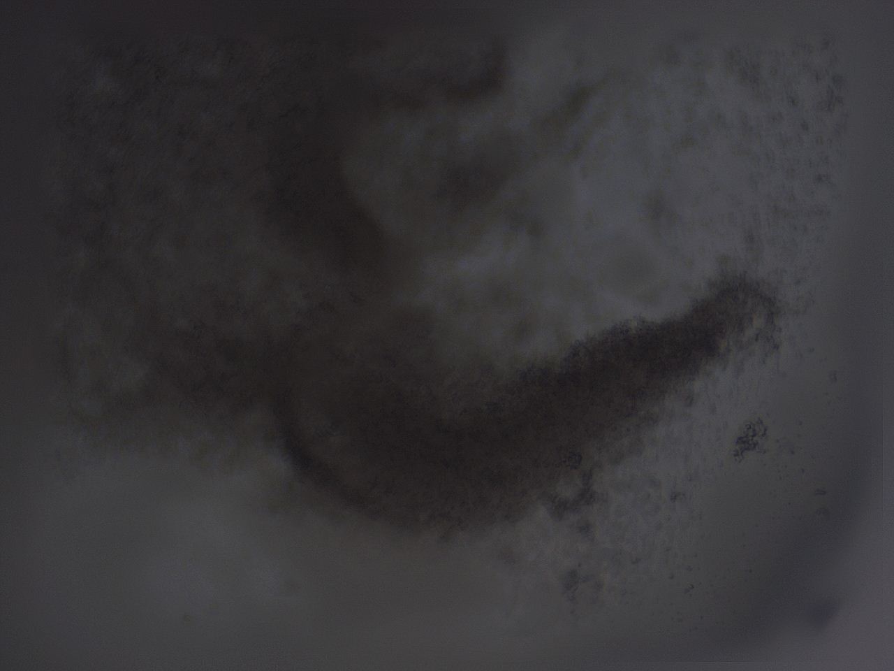04fz_A3_ImagerDefaults_3.jpg